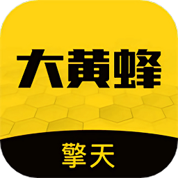 大蜂擎天app