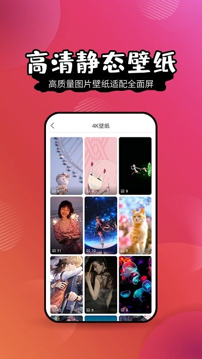 鹦鹉壁纸app