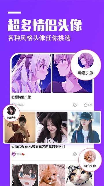 动态网名app