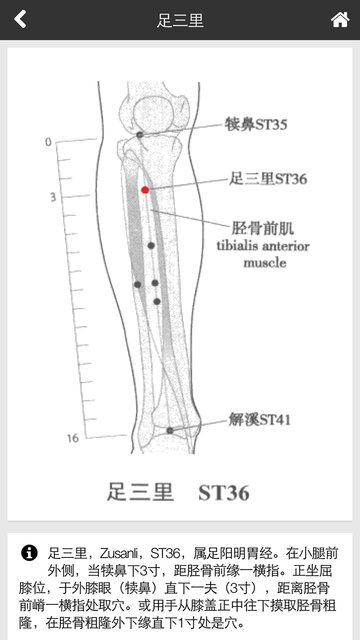 中医全科专家系统软件专业版