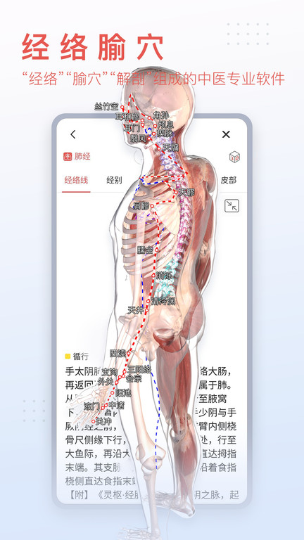 3dbody老版本