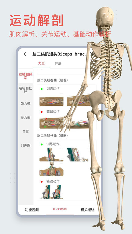 3dbody解剖软件