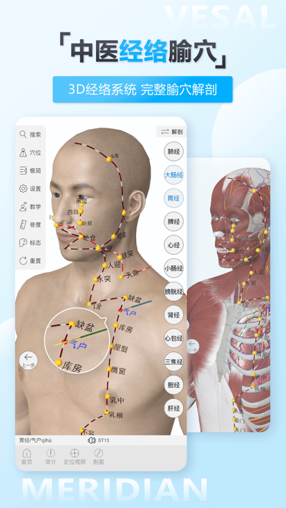 维萨里3d解剖app