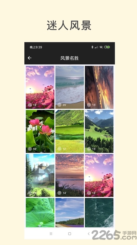 经典动态主题壁纸app