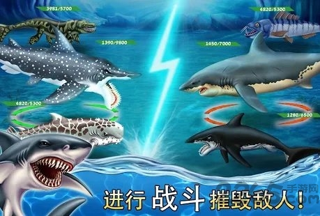 shark world手游