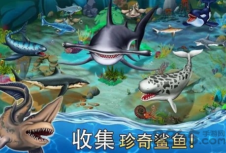 shark world手游