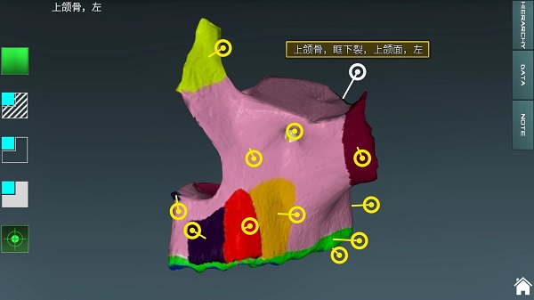 人体解剖学图集app最新版