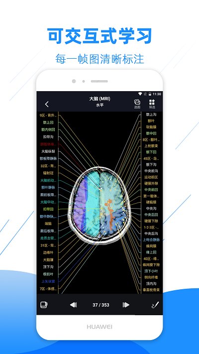 影像解剖图谱免费版