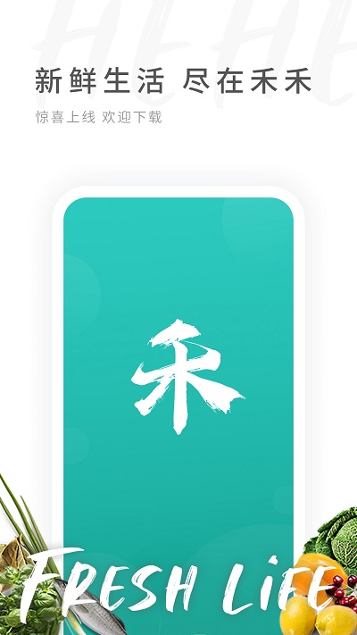 禾禾网app