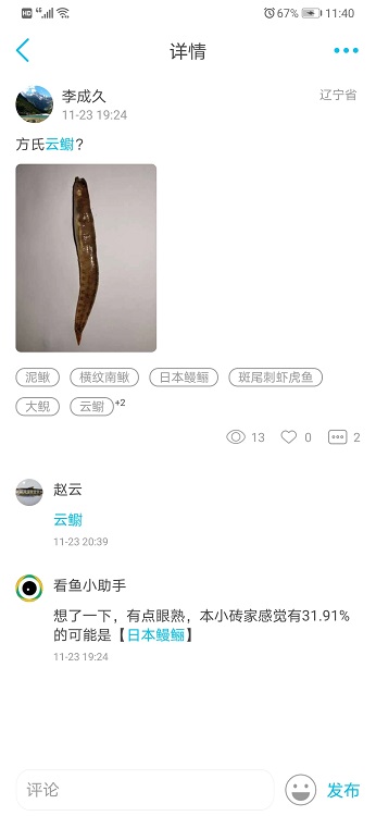 看鱼app