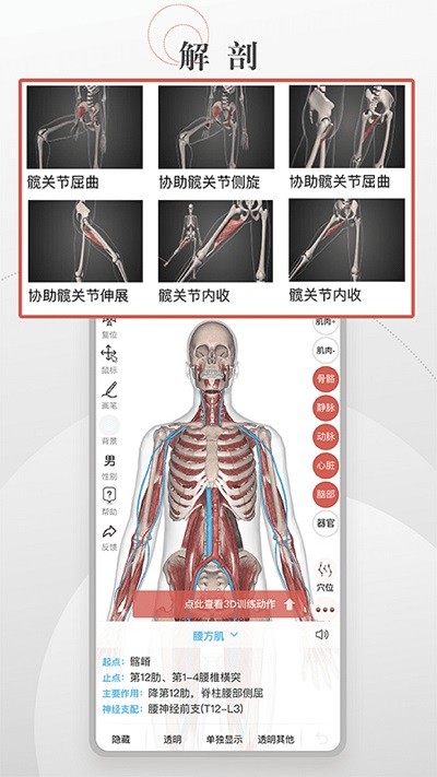 第三人体软件