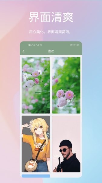 鹦鹉螺壁纸app