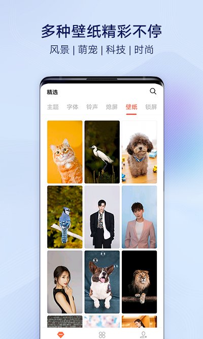 vivo i主题最新版本(themes)