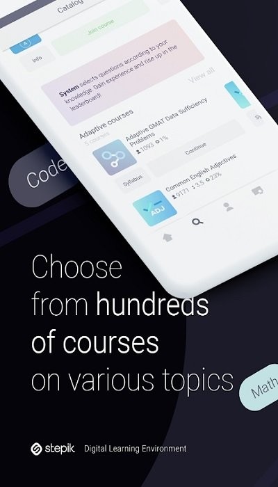 stepik app