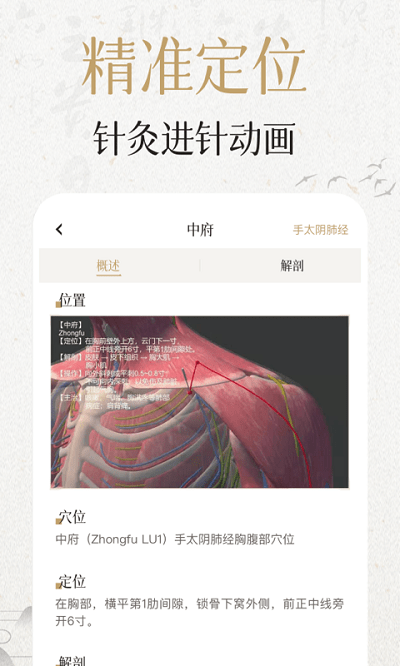 中济经络穴位app免费版