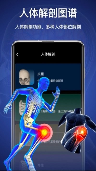 3d人体模型软件