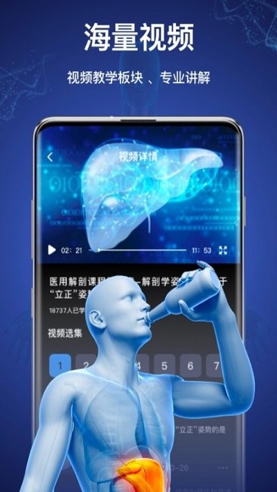 3d人体模型软件