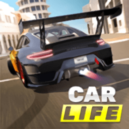 汽车人生开放世界(car life)