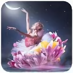 芭蕾舞壁纸手机壁纸(balletwallpaper)