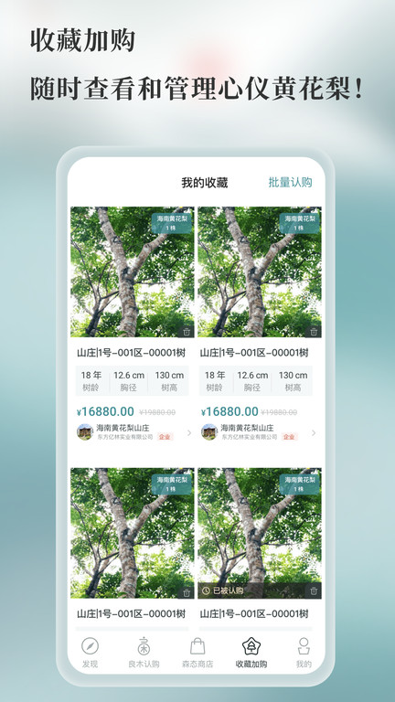 良木森林app