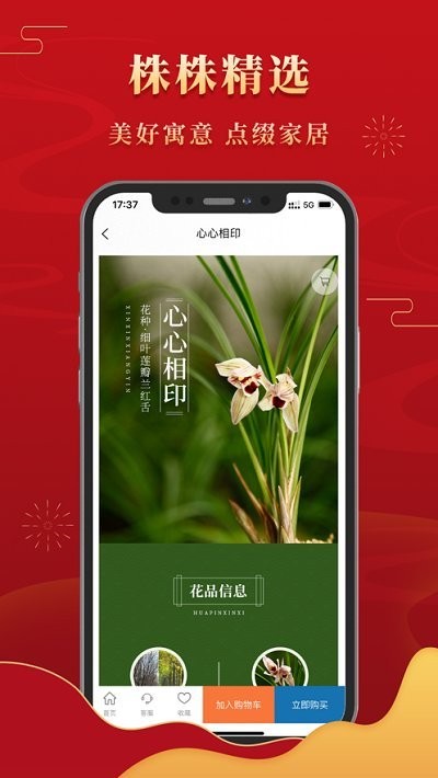 鹤阳兰花智慧交易平台app