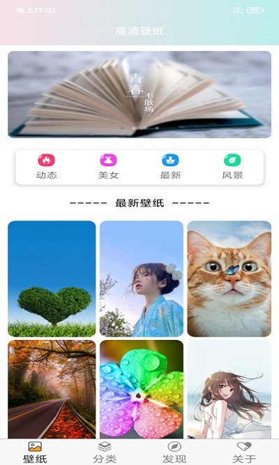 壁纸主题大全app