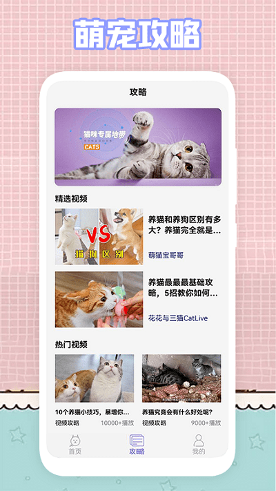 我的猫咪萌宠壁纸