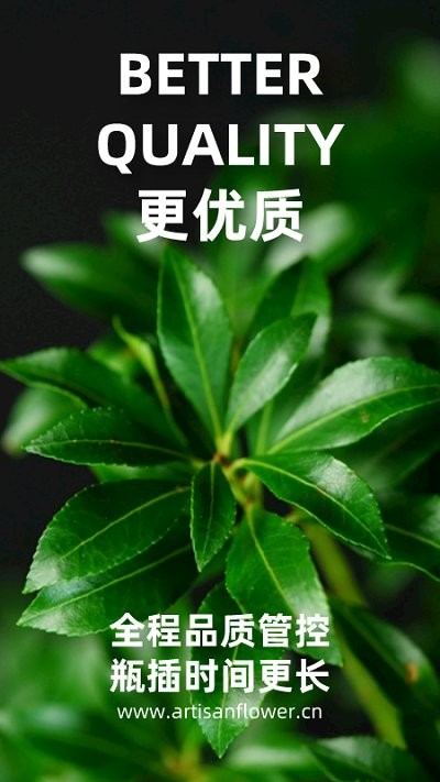 匠人花材客户端