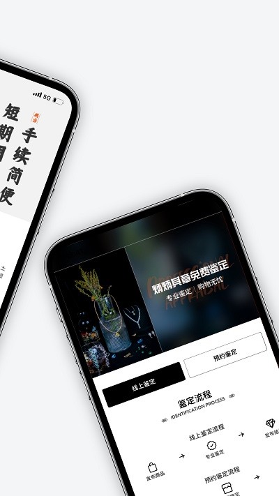 炳炳其章app