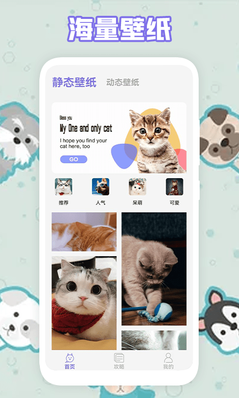 多多养猫助手app