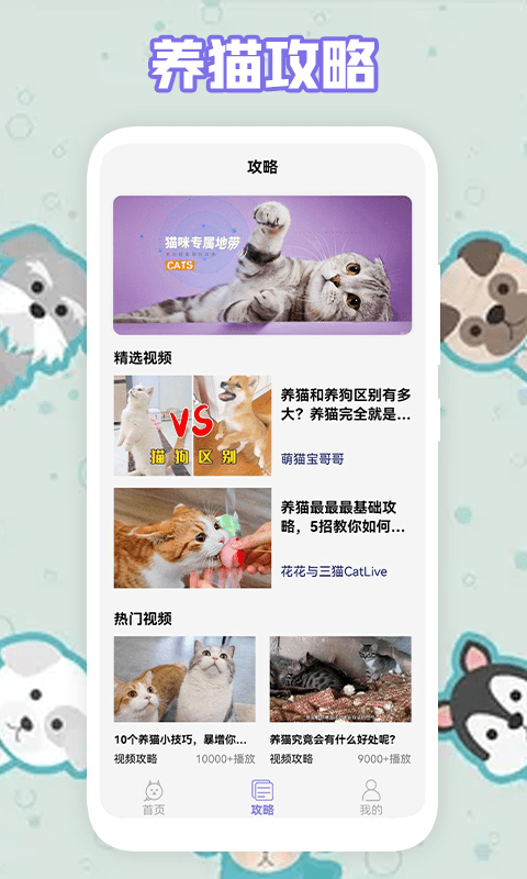 多多养猫助手app