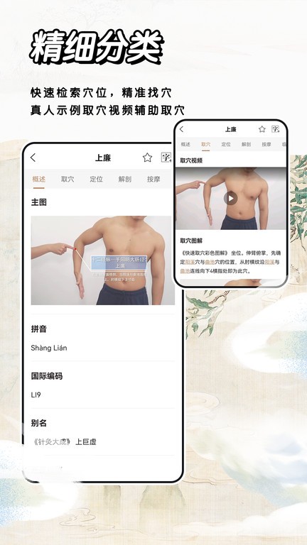 经络穴位标准指南app