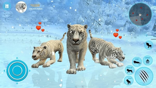 野生白虎家庭模拟游戏(wild tiger simulator family sim)