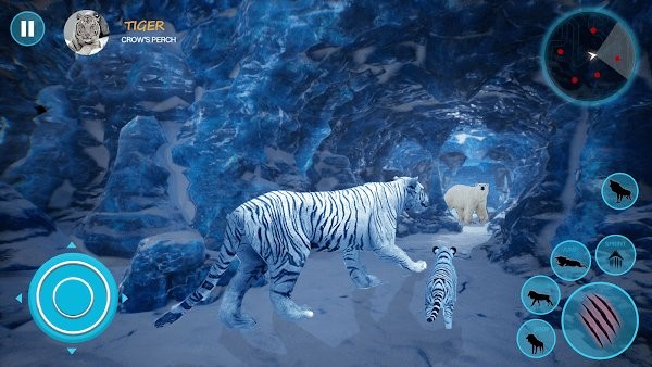 野生白虎家庭模拟游戏(wild tiger simulator family sim)