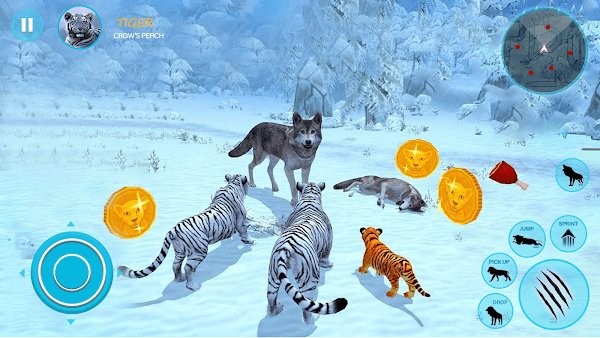 野生白虎家庭模拟游戏(wild tiger simulator family sim)