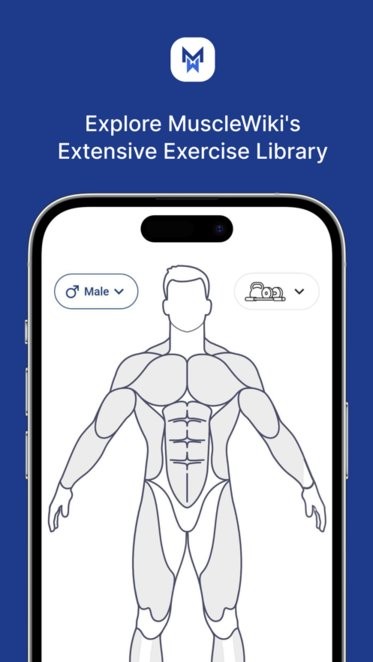 musclewiki健身软件