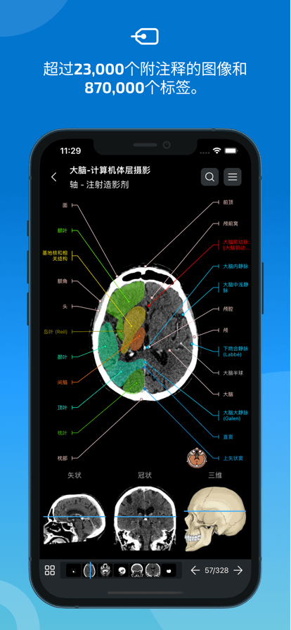 e-anatomy软件最新版