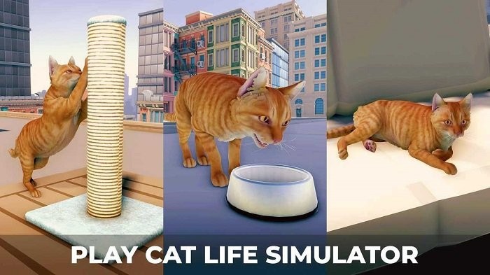 猫咪历险记大都市游戏(cat simulator)