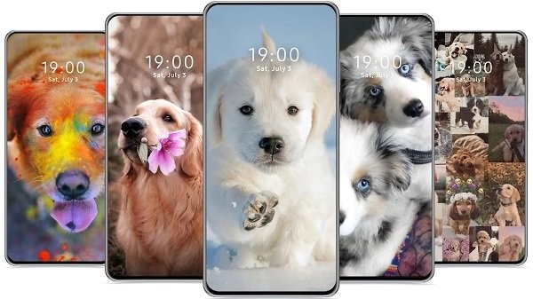 cutedogwallpaper可爱的狗壁纸