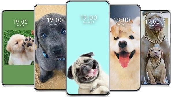 cutedogwallpaper可爱的狗壁纸