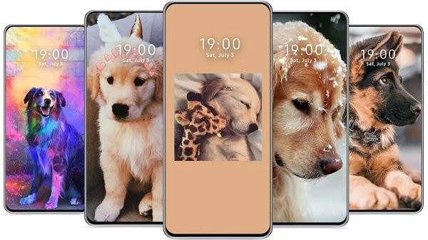 cutedogwallpaper可爱的狗壁纸