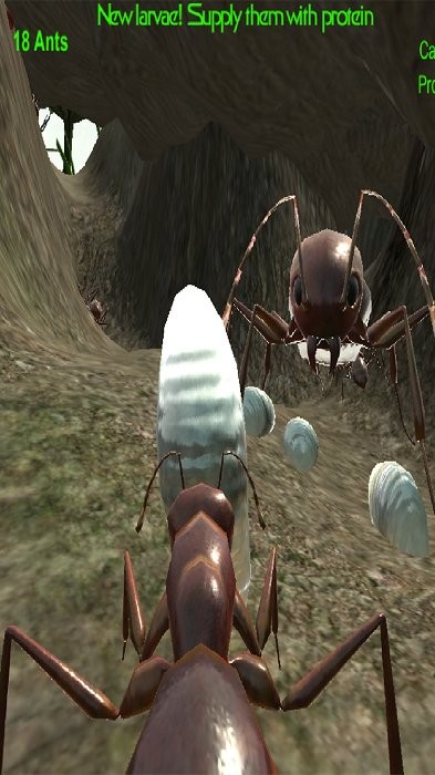 3d蚂蚁模拟器游戏(ant simulation 3d)