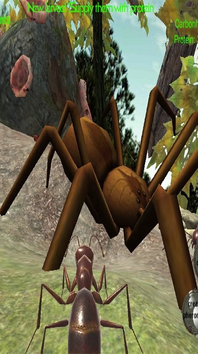 3d蚂蚁模拟器游戏(ant simulation 3d)