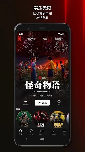 netflix premium软件