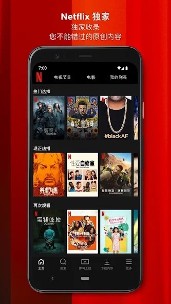 netflix premium软件